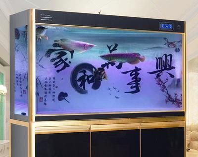 觀賞魚網(wǎng)店經(jīng)營方案范文(宣傳觀賞魚店廣告怎么寫) 水草