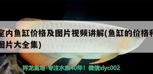 小型鱼缸用多大的加热棒（小型鱼缸用多大的加热棒合适） 祥龙水族医院