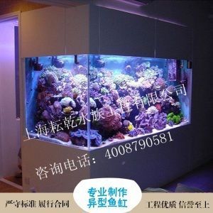 邢臺魚缸售后維護中心在哪（邢臺魚缸售后維護中心在哪里）