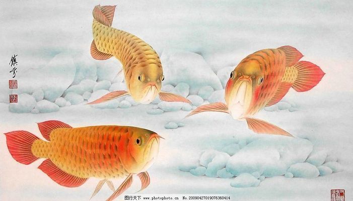 怎么移動(dòng)魚缸（怎么移動(dòng)魚缸放在陽臺(tái)） 其他品牌魚缸