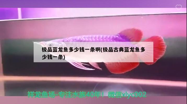 武漢加油在家待著就是給國家貢獻