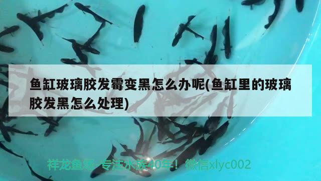 永城市東城區(qū)浩瀚水族館（永城市東城區(qū)浩瀚水族館電話）