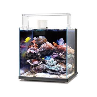 石柱土家族自治縣魚之樂水族用品有限公司（魚之樂水族館） 水族用品