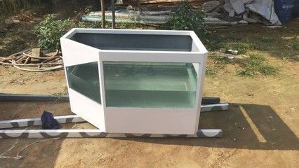 潼南區(qū)虹龍彩水族店（潼南區(qū)虹龍彩水族店電話）