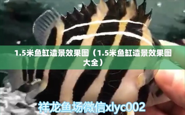 魚缸里有魚可以放硝化細(xì)菌嗎（魚缸里有魚可以放硝化細(xì)菌嗎視頻） 硝化細(xì)菌