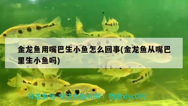 長治魚缸造景公司電話號(hào)碼查詢（長治魚缸造景公司電話號(hào)碼查詢地址）