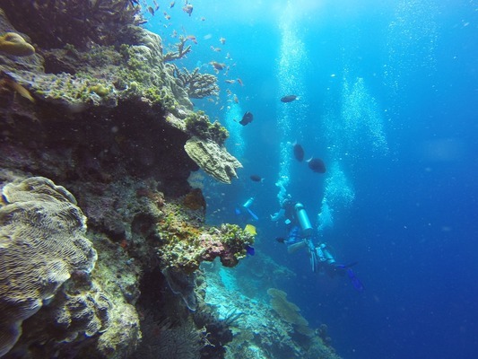 南关区青怡坊小翟水族行（南关区青怡坊营业时间）