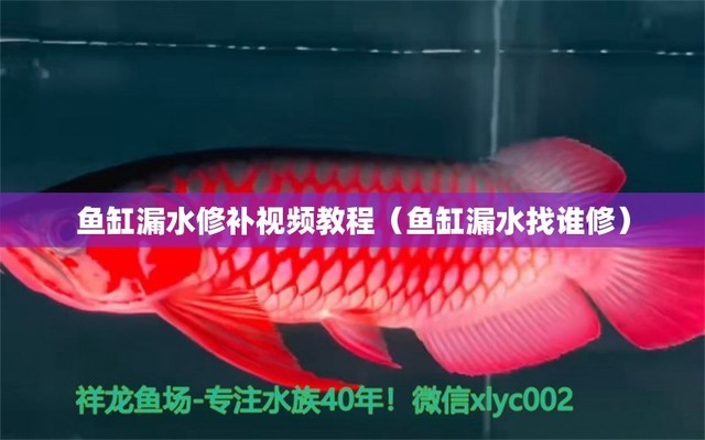 不養(yǎng)魚的空魚缸應該怎么處置（空魚缸怎么處理不影響風水）