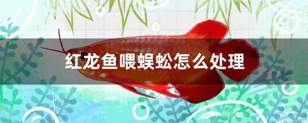 通州區(qū)哪里賣魚缸的地方多（通州區(qū)哪里賣魚缸的地方多一點）