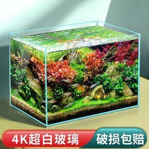 龍魚蒙眼的原因和治療方法圖片大全集（龍魚蒙眼的原因和治療方法圖片大全集）