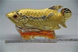 金龍魚多少錢一條在哪有批發(fā)：金龍魚多少錢一條 金龍魚百科 第3張