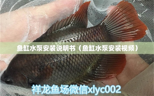 寶龍魚缸維修電話地址（寶龍魚缸維修電話地址查詢） 其他品牌魚缸