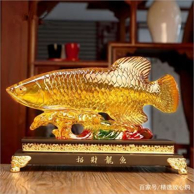 哈爾濱海水觀賞魚群有哪些魚（哈爾濱看魚的地方）