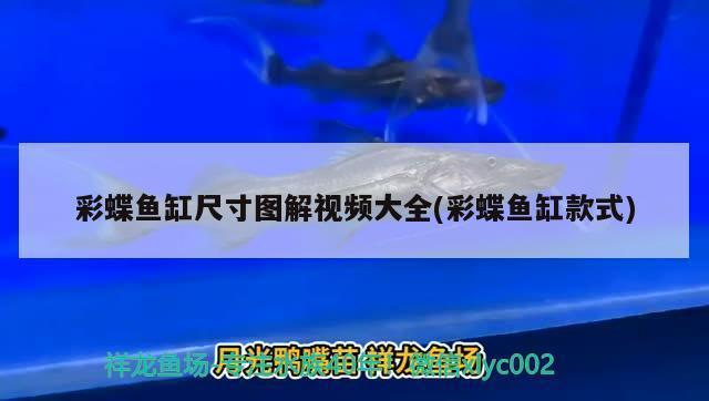 合肥廬陽(yáng)區(qū)曉妹海洋水族館（合肥廬陽(yáng)區(qū)曉妹海洋水族館電話）