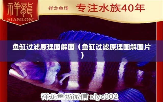 紹興魚缸抽水泵廠家直銷（紹興魚缸抽水泵廠家直銷電話）