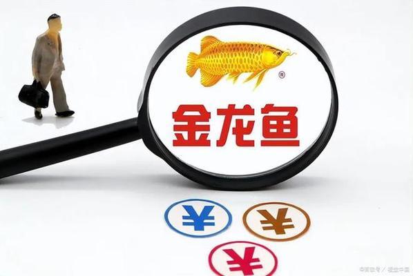 很小的觀賞魚叫什么名字（小型魚觀賞魚）