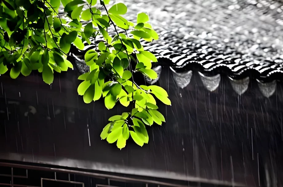 今年梅雨季异常猛烈，是自然现象还是气候变化的信号？