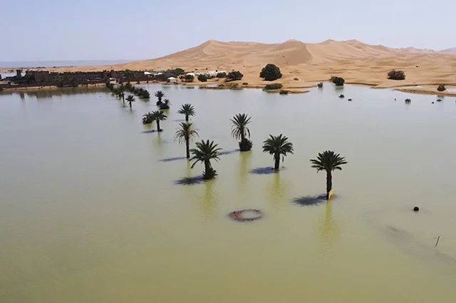 撒哈拉沙漠部分地區發洪水，當地人：已有三五十年未見