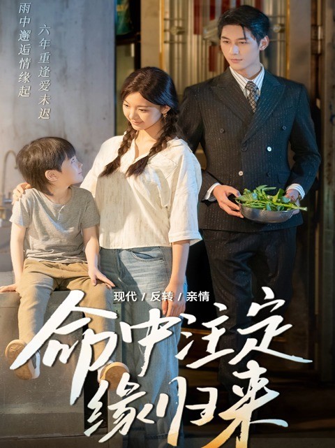 命中注定缘归来