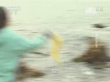 原来如此 《原来如此》 20160703 孤岛求生