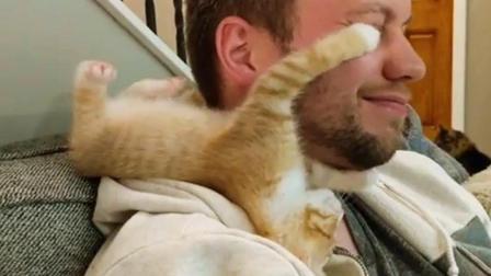 聊斋怪谈 这是一只爱撒娇的猫咪 男主人：就像养了一个女朋友！