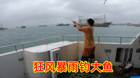 实锤了！渔夫钓鱼作假，被摄影师现场揭穿了......