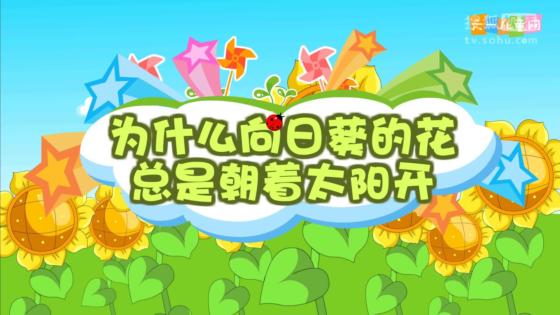 嘟拉十万个为什么 嘟拉十万个为什么 209.为什么向日葵的花总是朝着太阳开？