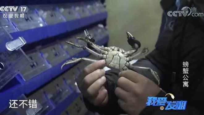 我爱发明 《我爱发明》 20200622 螃蟹公寓