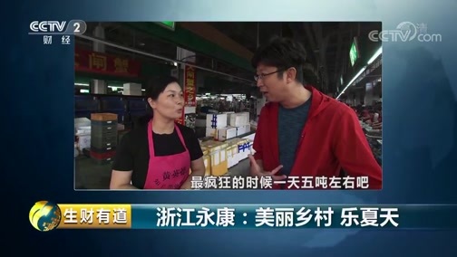 生财有道 《生财有道》 20190808 夏日经济系列 浙江永康：美丽乡村 乐夏天