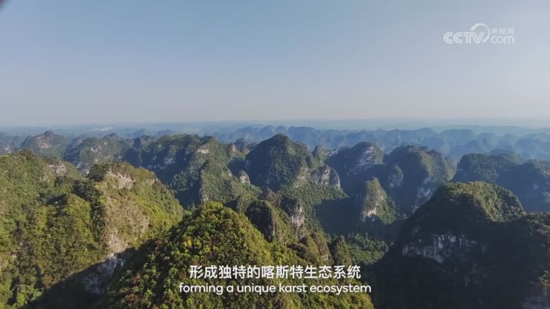 纪录黎里&bull;纪实类手机视频大赛展播 最佳摄影奖《我的家乡在中国》