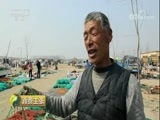 消费主张 《消费主张》 20180406 春耕赶大集：山东青岛