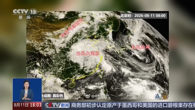 共同关注 《共同关注》 20260811