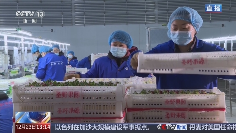 新闻直播间 《新闻直播间》 20251223 13:00