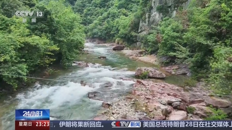 24小时 《24小时》 20250629