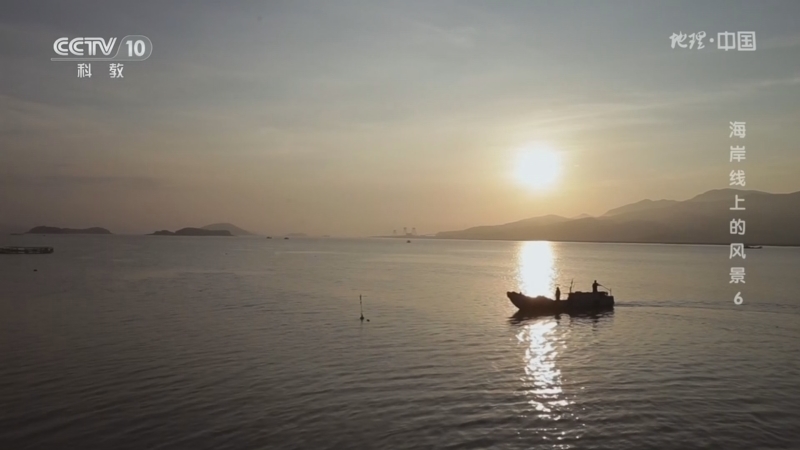 《地理·中国》 20260307 海岸线上的风景6