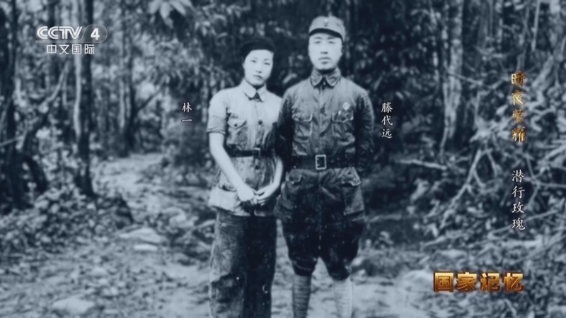 国家记忆 《国家记忆》 20260521 暗夜荣耀 潜行玫瑰