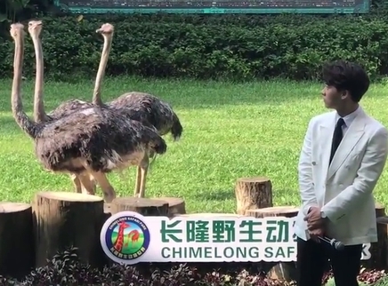 峰记本-李易峰资源博 第一次来动物园的小学生李易峰