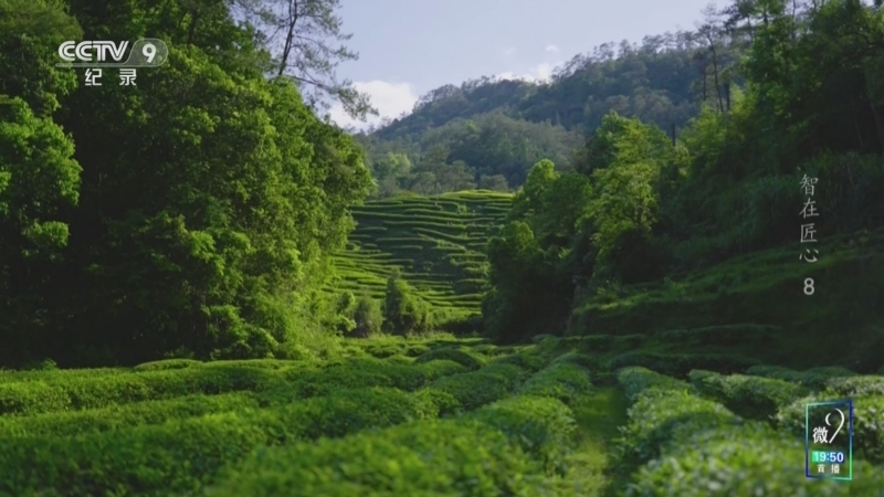 《智在匠心》 第8集 岩骨气韵 历久弥新——刘国英
