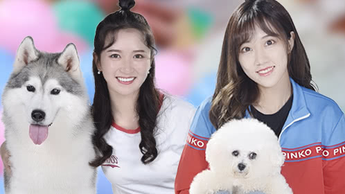 第7期：SNH48冯薪朵吴哲晗携爱犬亮相