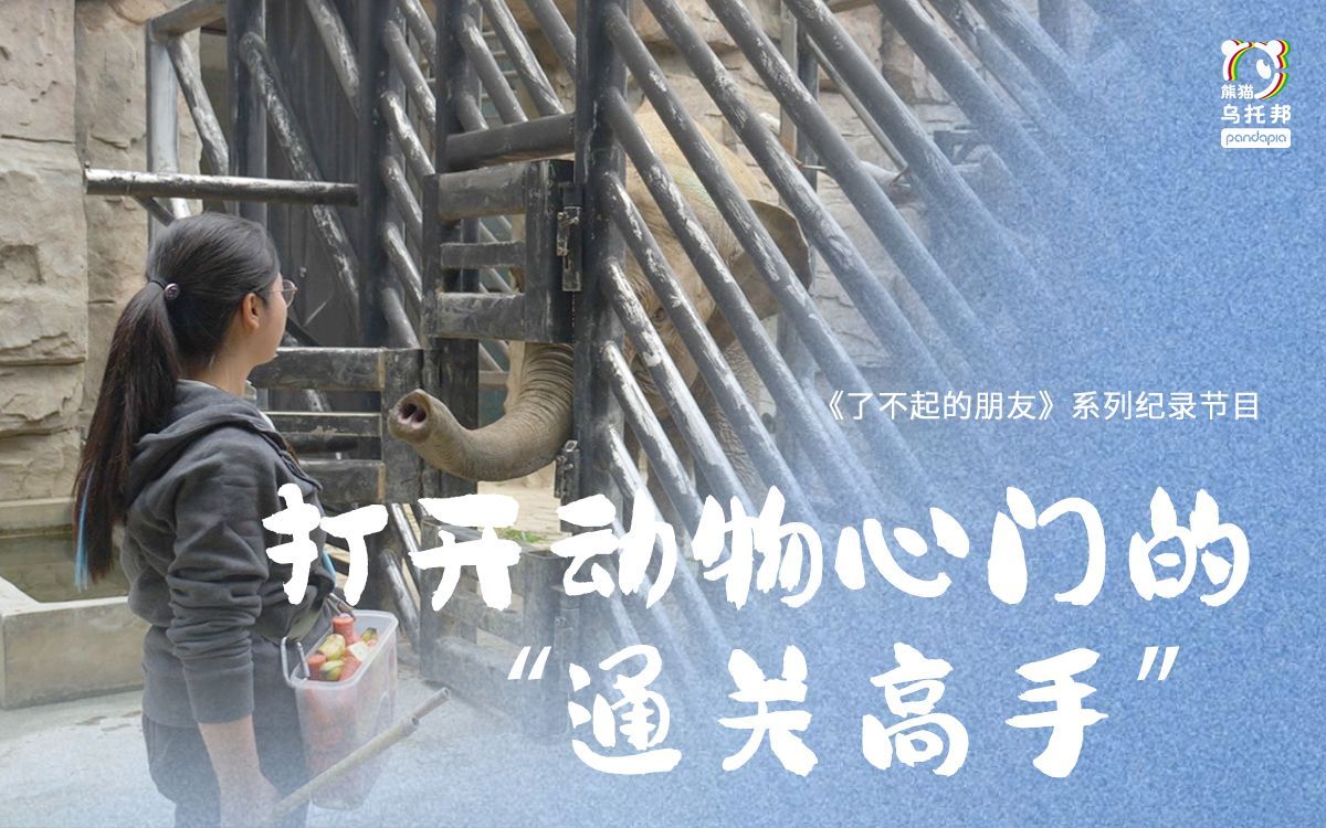 了不起的朋友