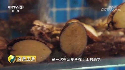 消费主张 《消费主张》 20190819 2019中国夜市全攻略：海鲜啤酒醉青岛