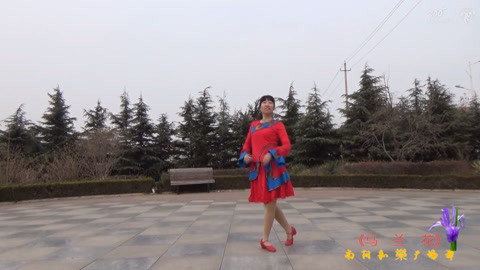 广场舞 广场舞《马兰花》