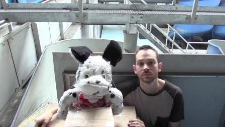 给科学家的匠人精神点赞 每个巧合的背后都有无数次的失败 27