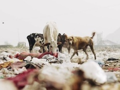 新创新天地第9集