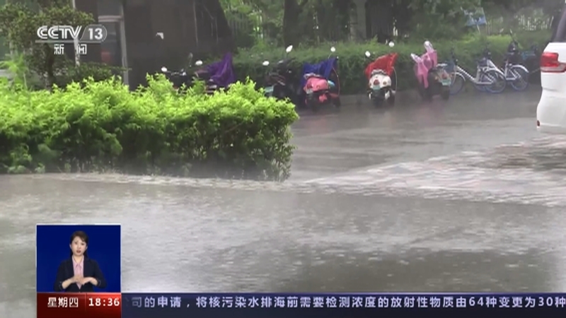 共同关注 《共同关注》 20230511
