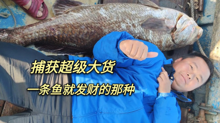 南澳岛赶海日记 渔民捕获40多斤超级大货，一条就发财的那种，好几个老板围着出价