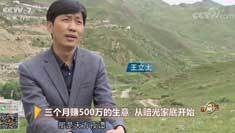 致富经 [致富经]三个月赚500万的生意 从赔光家底开始 20180911