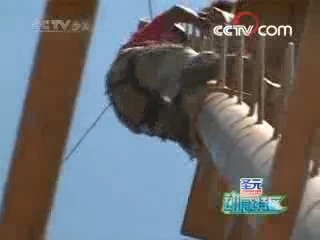 动感特区 动感特区 2008年 第26期