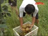 县域经济报道 《县域经济报道》 20110830