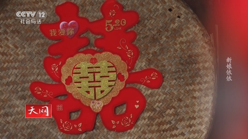 天网 《天网》 20230620 新娘依依